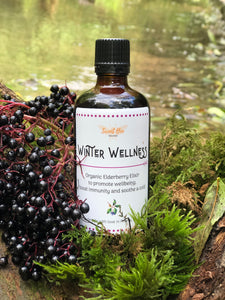 Sweet Bee Organics Winter Wellness